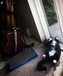 Catit Cat Scratcher, Wide Cat Board 24 51KD8i7XHnL