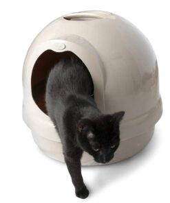 Petmate Booda Dome Cat Litter Box for Indoor Cats , Titanium, Made in USA One Size 27 51KJQi7p6fL