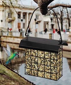 Alternative view of FORUP Suet Bird Feeder, Hanging Suet Feeder, Single Suet Cake Bird Feeder, One Suet Capacity 1