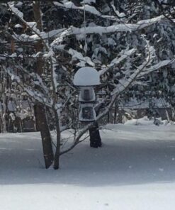 Perky-Pet 325S Panorama Bird Feeder 39 51Kf3FnUTTL