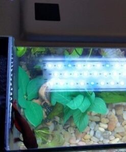 Fluval SPEC Freshwater Aquarium Kit, Aquarium with LED Lighting and 3-Stage Filtration, 2.6 Gallon, Black, Large Breeds 2.6 Gal. 50 51KyA5c cWL