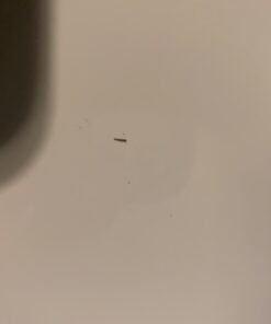 Lockways Magnetic Dry Erase Board, 36 x 24 Inch Magnetic Whiteboard White Board, 1 Dry Erase Markers, 2 Magnets for School, Home, Office Silver frame 36 x 24 Inch 33 51KyaGLVqeL