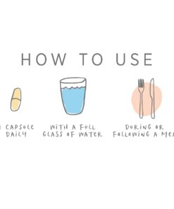 PURE SYNERGY SuperPure Ginger Extract | 60 Capsules | USDA Organic | Non-GMO | Vegan | with 425 mg of Ginger Extract 13 51L1wyk57eL