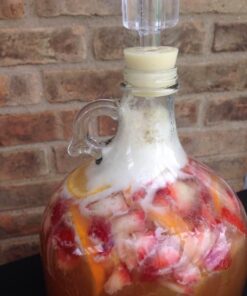 FastRack Stopper/Airlock 1 Gallon Glass Fermenter/Jug, Clear 1 Count (Pack of 1) 27 51L4rKeq0oL