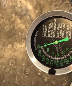 CDN ProAccurate Oven Thermometer, Pack of 1, Black Large Dial-GLOW Meat/Poultry 32 51LF 1exYXL