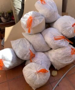 Amazon Basics 12 Sheet Cross Cut Paper and Credit Card Home Office Shredder with 4.8 Gallon Bin, Black 30 51LHv1u9SQL