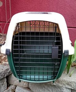 Petmate Ruffmaxx Travel Carrier Outdoor Dog Kennel, 360-degree Ventilation, 26", Green, Made in USA Almond & Green 26.0"L x 18.5"W x 16.0"H 24 51LJygeDyhL
