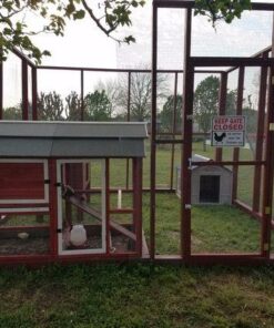 Alternative view of Signs Up Keep Gate Closed, No Matter What The Chickens Say