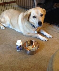 Ample Nutrition Complete Pet Prebiotic + Probiotic for Dogs & Cats, 60ct Pork Flavored Pearls 37 51LS5FIQEL