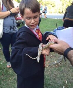 Rubie's Deluxe Harry Potter Costume Large 28 51LdSETv0oL 1