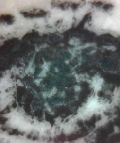 Opti-Tekscope Digital USB Microscope Camera- Advanced CMOS Sensor, True High Definition Macro 200x Zoom Imaging –1600 x 1200, Video, Superior Industrial Quality Base, 8 LED, Windows Mac Linux 43 51LkCmVwhIL