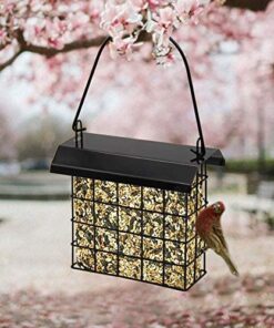 FORUP Suet Bird Feeder, Hanging Suet Feeder, Single Suet Cake Bird Feeder, One Suet Capacity 1 19 51LzmD3OpXL