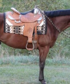 Farnam SWAT CLEAR Horse Fly Control for Horses, Ponies and Dogs, 7 ounce jar 45 51MCDE87yBL