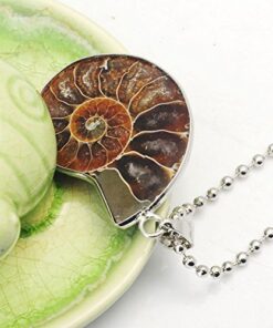 JOYA GIFT Charm Handmade Natural Conch Fossil Ammonite By Silver Wrapped Pendant Necklace (1 PCE). 36 51MSdgJ5KQL