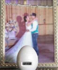 PregEgg Personal 9-Month Countdown 6 51MpeNe2ZLL