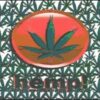 Marijuana Hemp Flag 3x5ft Polyester