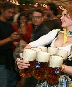 1 Liter HB "Hofbrauhaus Munchen" Dimpled Glass Beer Stein 25 51N3SPW4BL