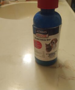 Adams Plus Pyrethrin Dip For Dogs and Cats | Kills and Repels Fleas, Ticks, Lice, Gnats, Mosquitoes and Flies | 4 Fl Oz 24 51N6YSZYQdL