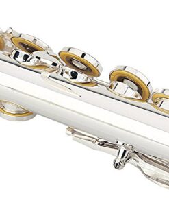 Glory Silver Plated Intermediate Open/Closed Hole C Flute with Case,Tuning Rod,Polish Cloth,Joint Grease,a pair of Gloves and screw driver 16 Open Hole 15 51NS3hj 7eL