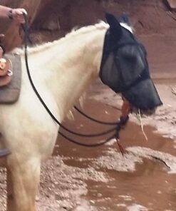 Cashel Quiet Ride Horse Fly Mask with Long Nose and Ears, Black, Horse 15 51NWkoqDWNL