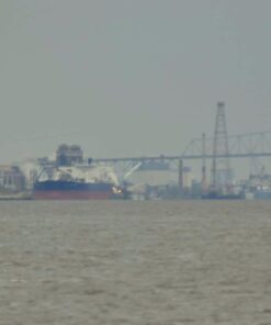 Opteka 500mm/1000mm f/8 Manual Telephoto Lens for Nikon F-Mount D6, D5, D4, DF, D850, D810, D780, D750, D700, D610, D500, D7500, D7200, D7100, D5600, D5500, D5300, D5200, D3500, D3400, D3300, D3200 64 51NacNsz3wL