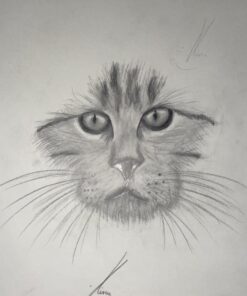 Faber-Castell 9000 Graphite Sketch Pencil Sets Art 8B - 2H set of 12 8 Colors 34 51NiR688XBL