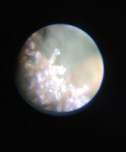 Carson 60x-75x MicroMax LED Lighted Pocket Microscope (MM-200) MicroMax (MM-200) 35 51NnxsTnC5L