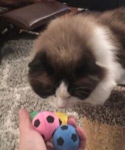 SPOT by Ethical Products - Sponge Soccer Balls Cat Toy, 4-Pack Interactive Cat toys Chasing Hunting Stimulating Cat toys For Indoor Cats Best Sellers, Small Green, Pink, Blue, Yellow, Black 24 51Nwp XHxRL