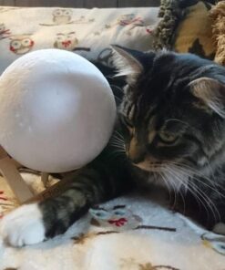 Ehobroc Moon Lamp 5.9 inch Moon Light Ball 3D Moon Lamp 3 Colors Moon Night Light, Touch&Remote Control LED Glowing Moon Globe Light, Christmas Gift for Kids Lover Children Parents Birthday Gifts 44 51OEOyRjvqL