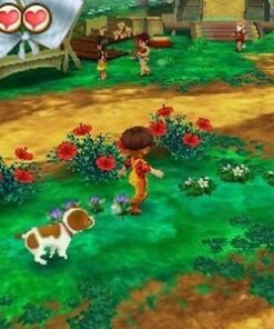 Story of Seasons: Trio of Towns - Nintendo 3DS US Packaging 26 51OXL5ole L