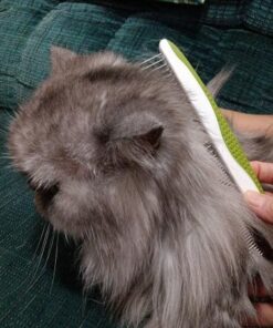 Dog Comb for Removes Tangles and Knots - Cat Comb for Removing Matted Fur - Grooming Tool with Stainless Steel Teeth and Non-Slip Grip Handle - Best Pet Hair Comb for Home Grooming Kit - Ebook Guide 29 51P21MsP6RL