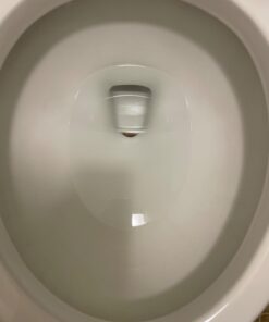 PUMIE Toilet Bowl Ring Remover, TBR-6, Grey Pumice Stone with Handle, Removes Unsightly Stains from Toilets, Sinks, Tubs, Showers, Pools, Safe for Porcelain, 1 Pack 1 Count (Pack of 1) 62 51PGxUuPtTL