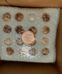 12 Large Fertile Hatching Coturnix Quail Eggs 34 51PHf8vS9GL