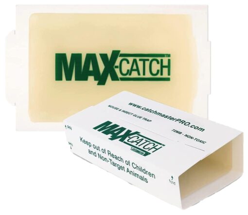 Max Catch 72 Pack Professional Strength - Mouse, Rat & Pest Glue Scented Sticky Trap for Rodents and Insects - Ready to Use Indoors - Non Toxic, No Mess, Easy Cleanup Mice Trap by Catchmaster