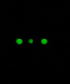 TRUGLO TFX PRO Handgun Sight | Compact Snag-Free Durable Shock-Resistant Glowing Tritium & Fiber-Optic Xtreme Night Sight for Handguns Glock 42/43 Set 37 51PWIVZZybL