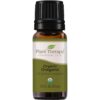 Plant Therapy Organic Oregano Essential Oil 100% Pure, USDA Certified Organic, Undiluted, Natural Aromatherapy, Therapeutic Grade 10 mL (1/3 oz) 0.34 Fl Oz (Pack of 1) 25 51PZFRse5fL