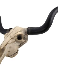 Long Horn Cow Skull Wall Hanging Longhorn Steer 25 51PfDWdgnaL
