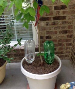 Blumat Bottle Adapter (3 Pack): Self Watering Spikes/Houseplant Watering Stakes, Automatic Irrigation System, Use When On Vacation,Terracotta Spikes to use with Recycled Plastic Water Bottles (3 Pack) 21 51Pmzvo0IL