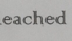 Alternative view of Organic Sourdough Starter The Real One from San Francisco with a No-Questions-Asked Replacement Guarantee and a Free Bowl Scraper