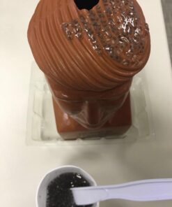 Chia Pet Donald Trump President with Seed Pack, (8" x 4.5" x 7.3") Decorative Pottery Planter, Easy to Do and Fun to Grow, Novelty Gift, Perfect for Any Occasion 42 51PtwVv7BsL 1