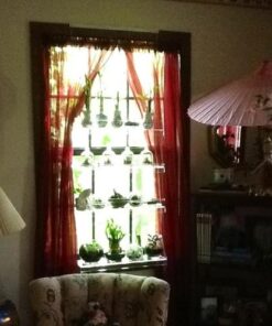 Beautiful Views Hanging Window Plant Shelves (4 Shelves) 4 Shelves 20"x6"x54" 42 51Q1yWr68bL