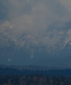 Canon EF-S 55-250mm f/4.0-5.6 is II Telephoto Zoom Lens Base Standard Packaging 42 51QLNt75EL