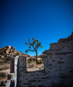 Nikon AF-S FX NIKKOR 20mm f/1.8G ED Fixed Lens with Auto Focus for Nikon DSLR Cameras Lens Only 63 51QUvkCXyeL