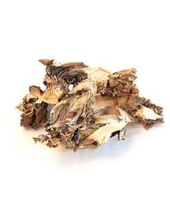 Spice Jungle Maitake Mushrooms (Hen of the Woods) - 4 oz. 4 Ounce - Maitake Mushrooms (Hen-of-the-woods) 3 51QqSjlu9aL