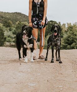 Mighty Paw Dual Dog Leash - Suitable for Two Dogs - Leash for 2 Dogs No Tangle - Leash Splitter - Large and Small Dog Compatible - Dual Leash Attachment - Double Clip Dog Leash Coupler - Dog Splitter Double Leash Standard | Dogs 30+ lbs 31 51QxtqJOaHS