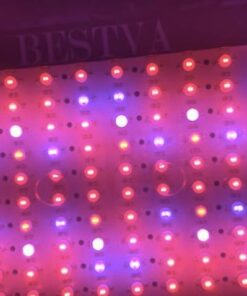 BESTVA 2024 Newest Upgrade 2000W Led Grow Light with High Yield Diodes Full Spectrum LED Grow Lights for Indoor Plants Greenhouse Veg Bloom Light Hydroponic Grow Lamp 46 51RCnPnG4EL
