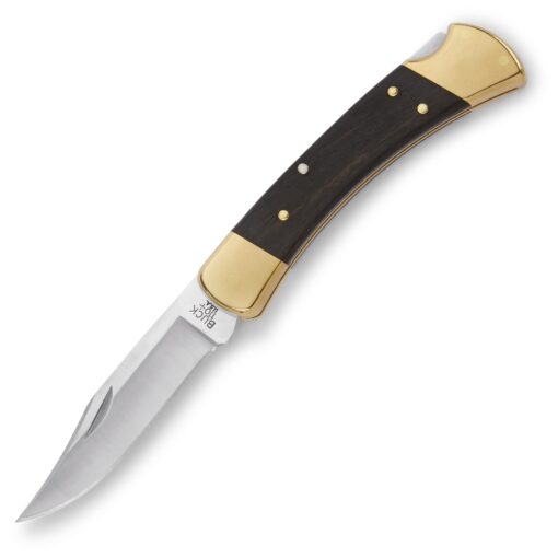 Buck Knives 110 Folding Hunter Lock-back Knife, Brass Bolsters, Ebony Handles, 3-3/4" 420HC Blade with Leather Sheath Classic 3.75"