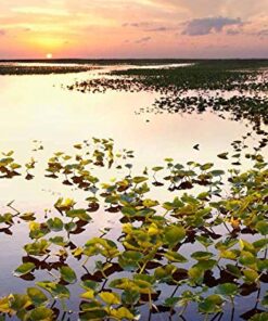 Lonely Planet USA's National Parks 41 51RTBWkQbL