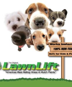 Lawnlift Ultra Concentrated (Green) Grass Paint 8oz. = 2.5 Quarts of Product. 16 51RnRLTALFL 1