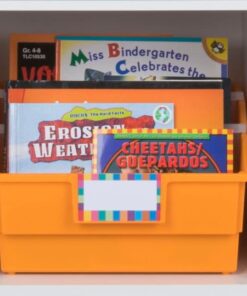 Really Good Stuff Picture Book Library Bins With Dividers - Neon Set Of 4 14 51RqZ4ZMeL